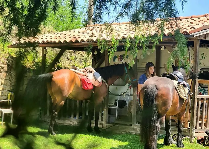 Re Piano Le Rondini *